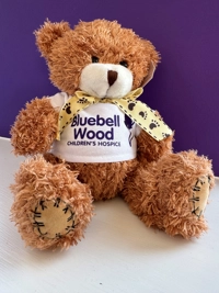 Bluebell Wood Care Team