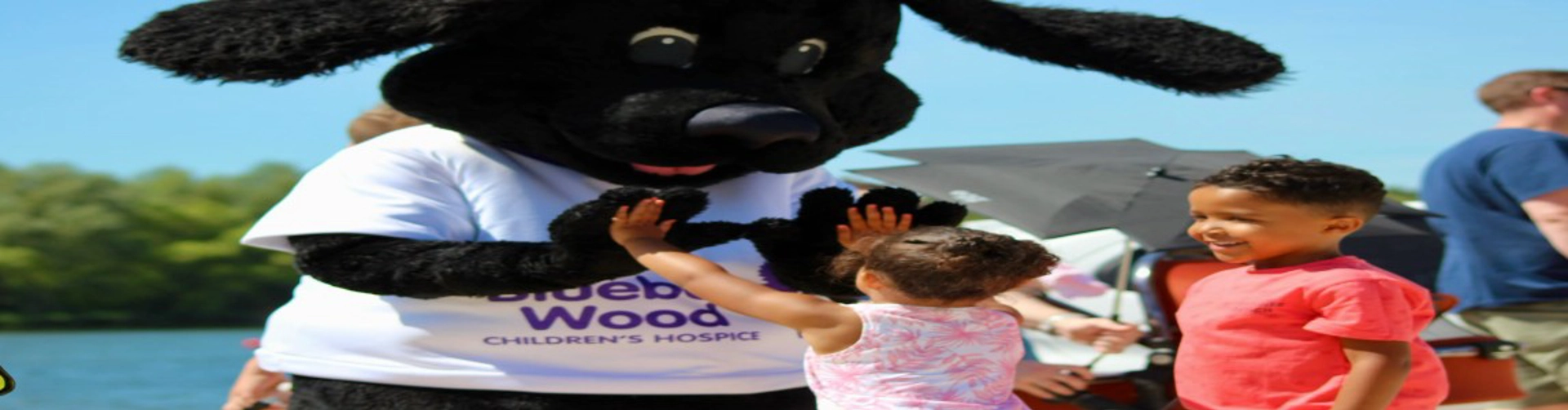 Header Image